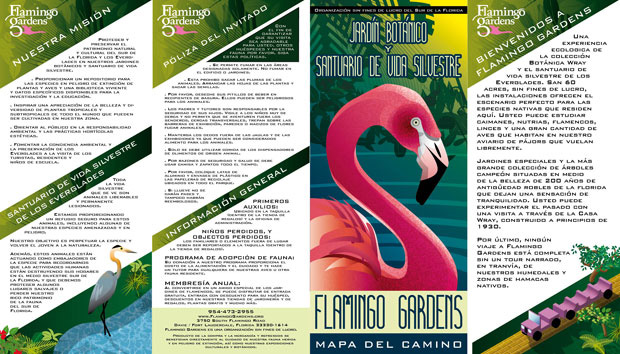 Flamingo Gardens brochure Spanish