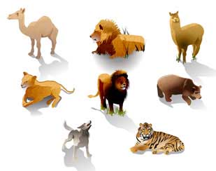 Wild Animal Sanctuary map animal illustrations