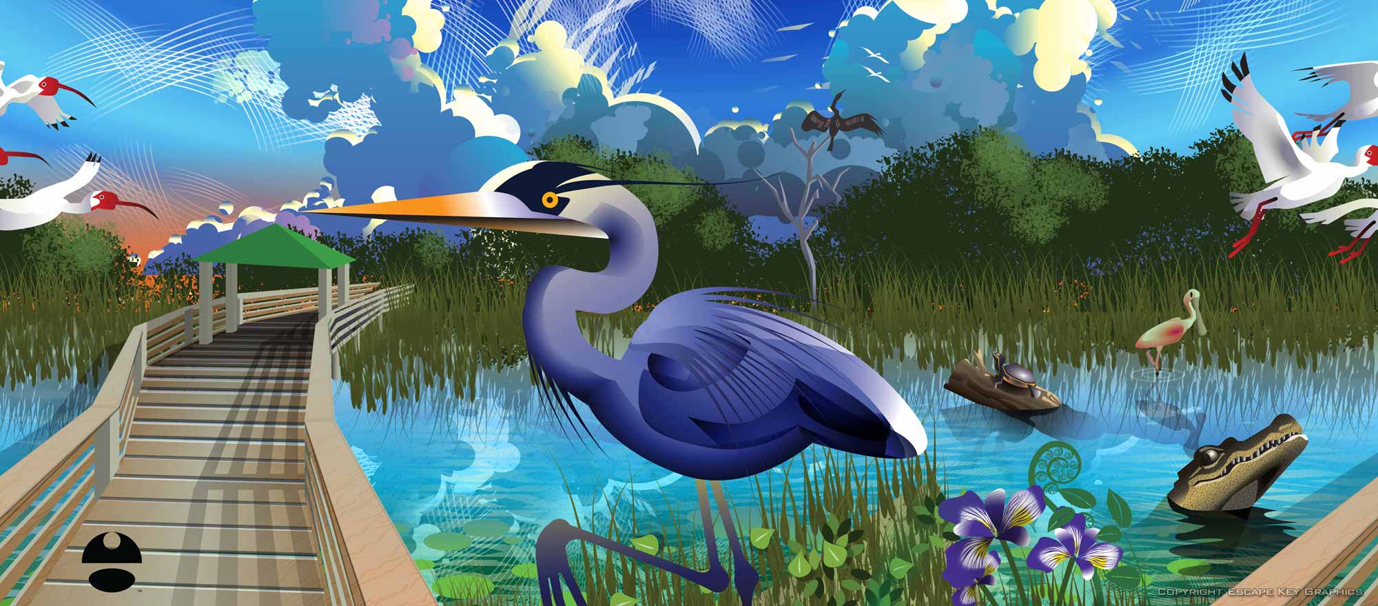 wetlands vector illustration