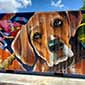 Shipping Container Mural for a dog park