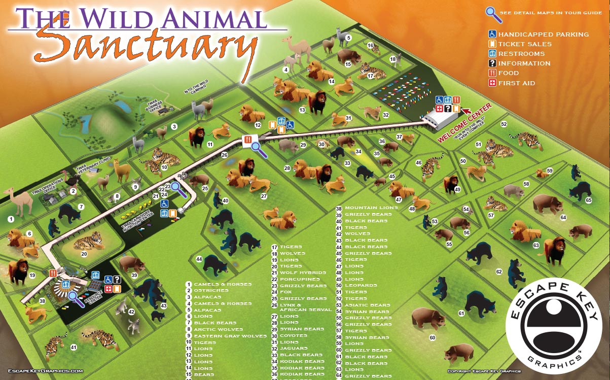 Animal Sanctuary Map Design and Illustration