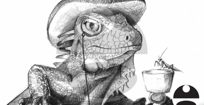 Iguana Drawing - Illustration