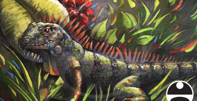Iguana Illustration