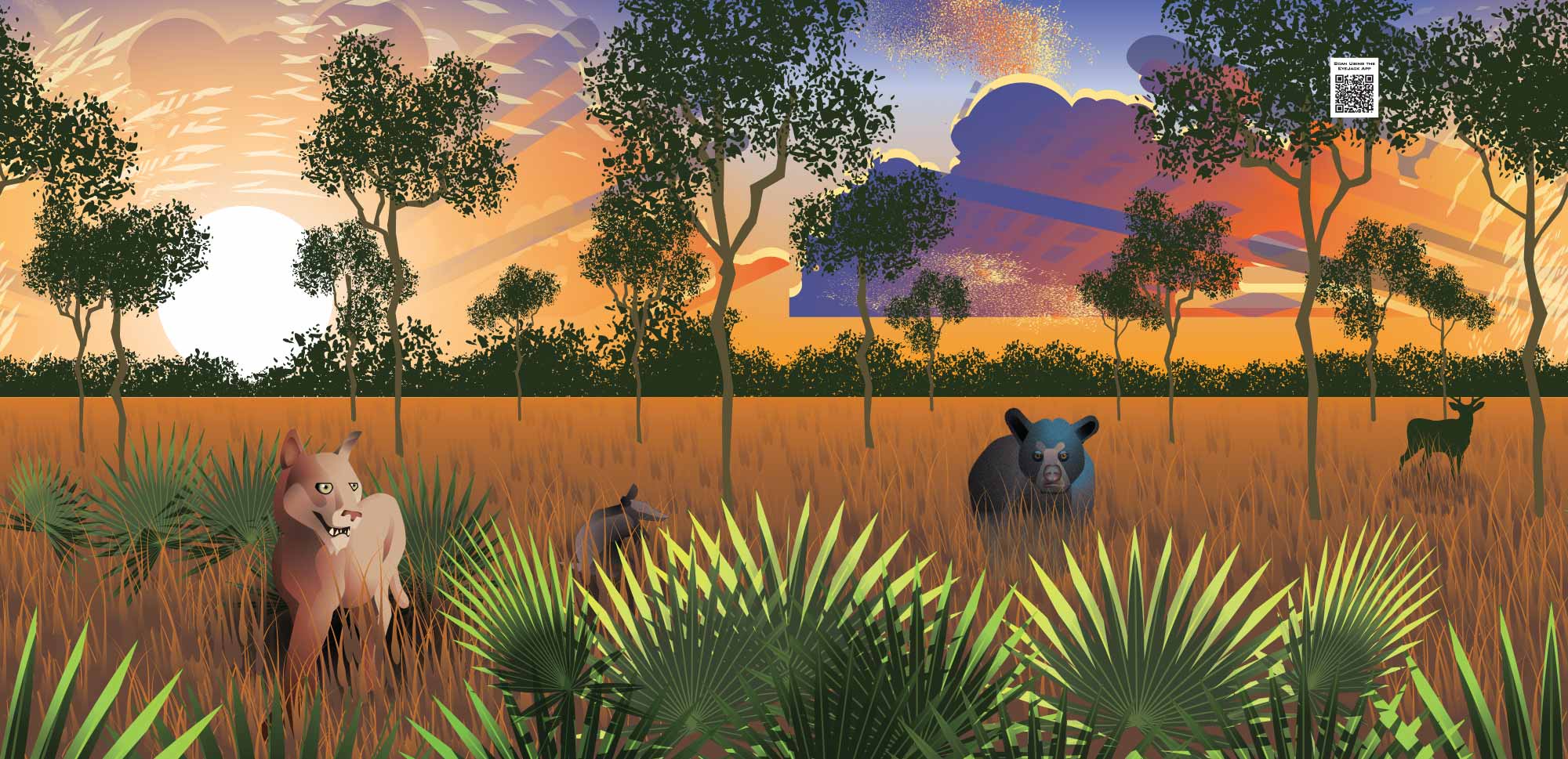 Florida wilderness vector illustration