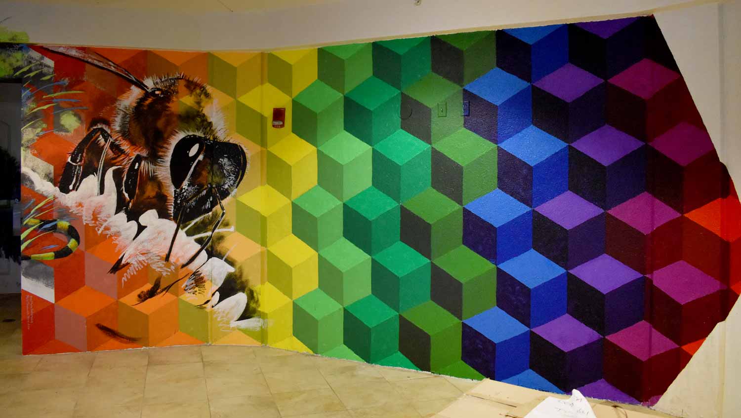 Color Field Mural