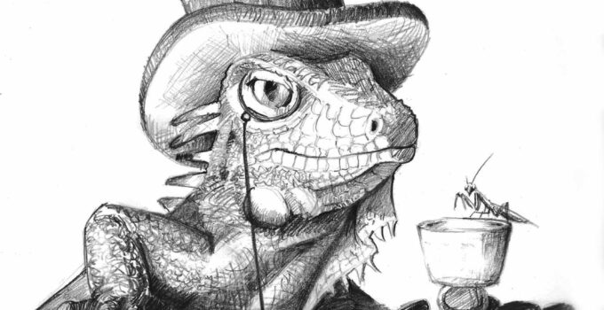 Iguana Drawing - Illustration