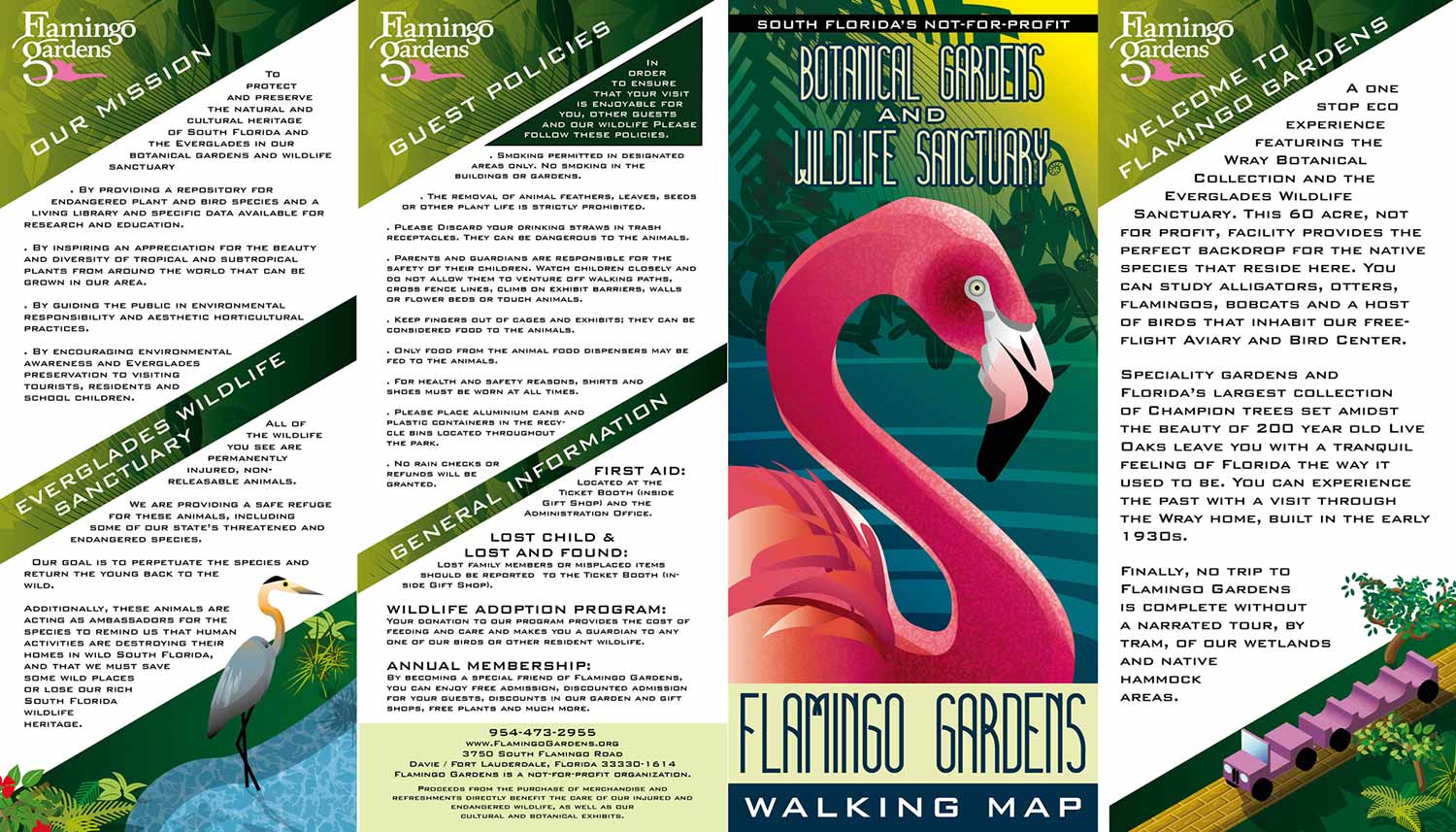 Flamingo Gardens Brochure Design and Illustration