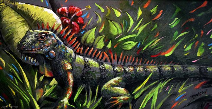 Iguana Illustration