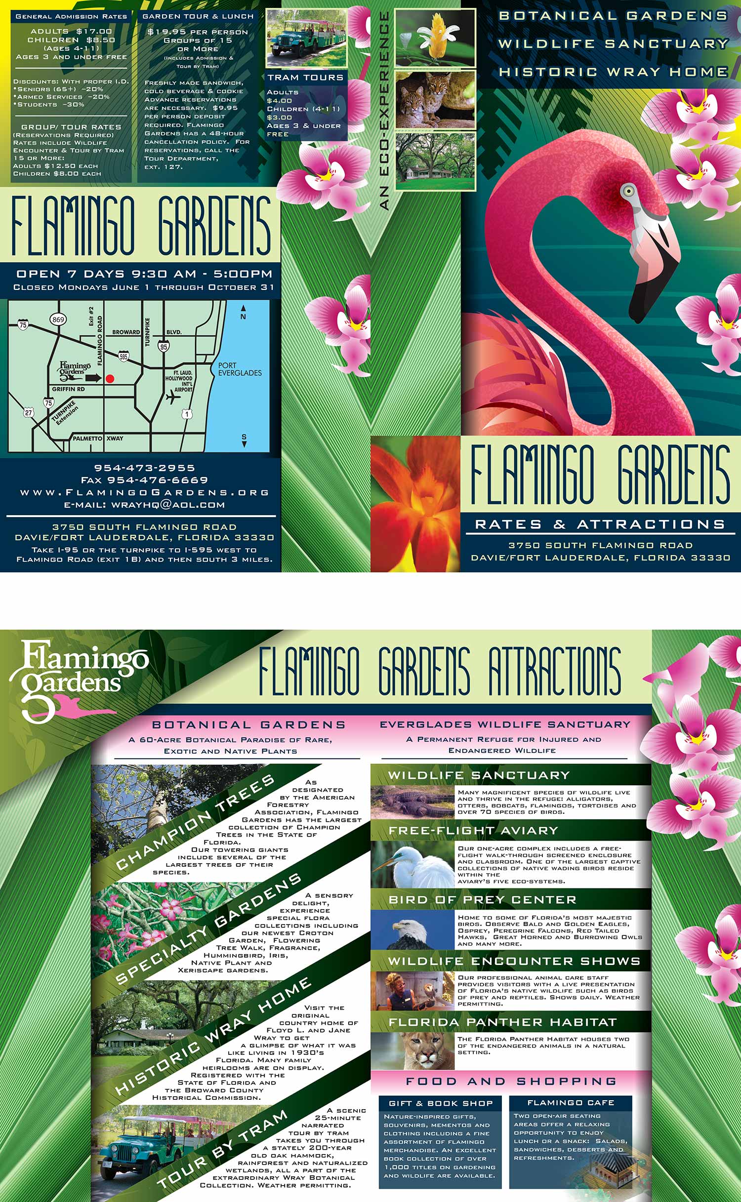 Flamingo Gardens Rates and Attractions Flyer Design