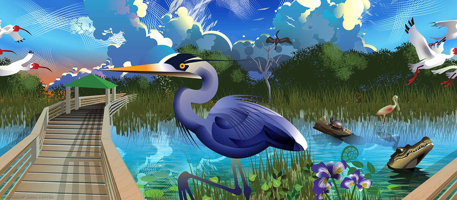 wetlands vector illustration